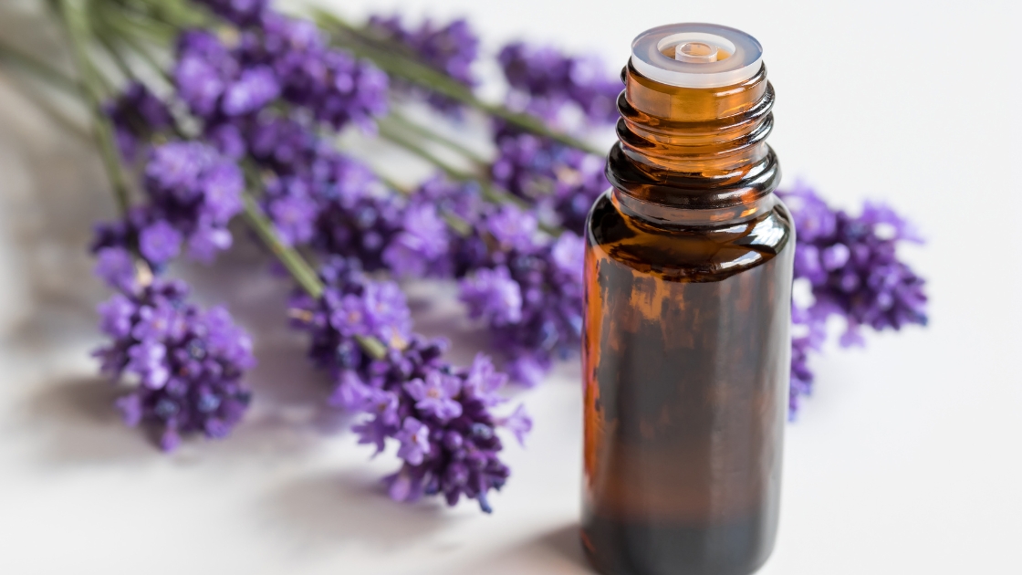 10 Most Popular Essential Oils & Their Health Benefits