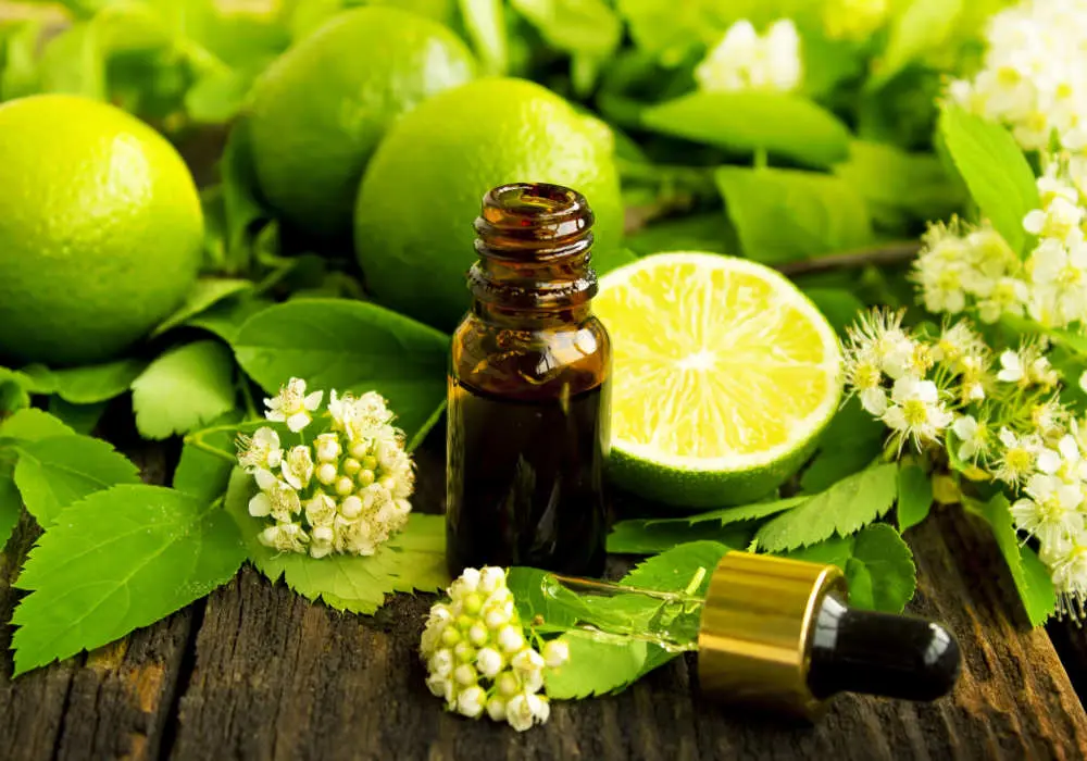 Lime oil on sale