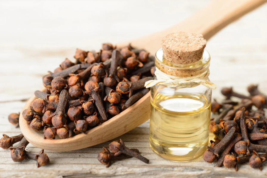 Clove Oil