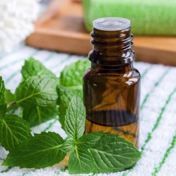 Mentha Citrata Oil (Bergamot Mint)