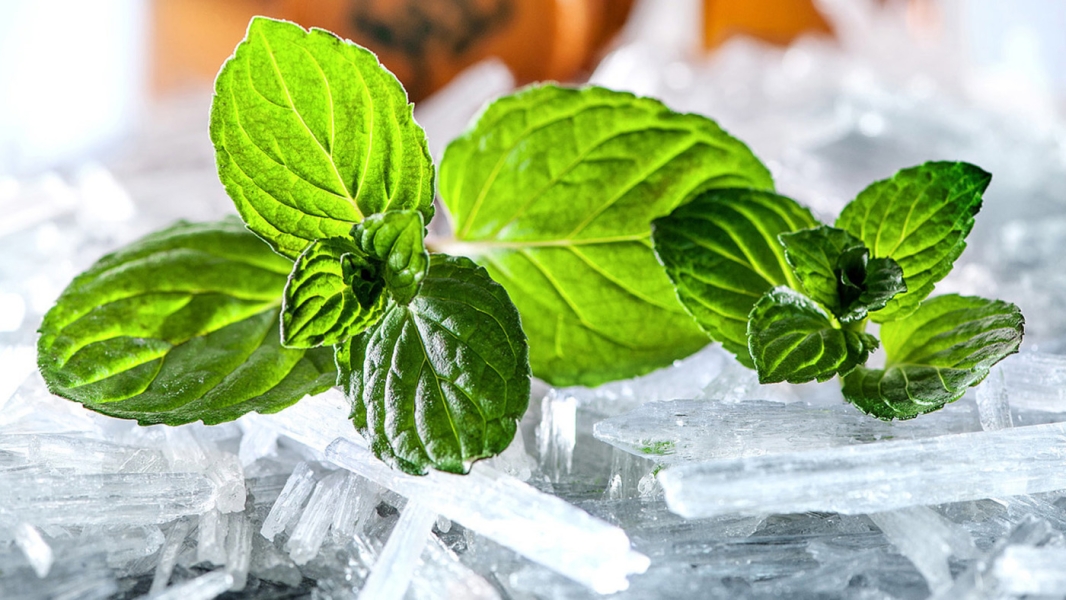 Natural Menthol Crystals