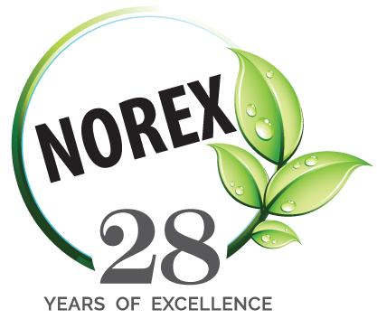 NOREX FLAVOURS PRIVATE LIMITED